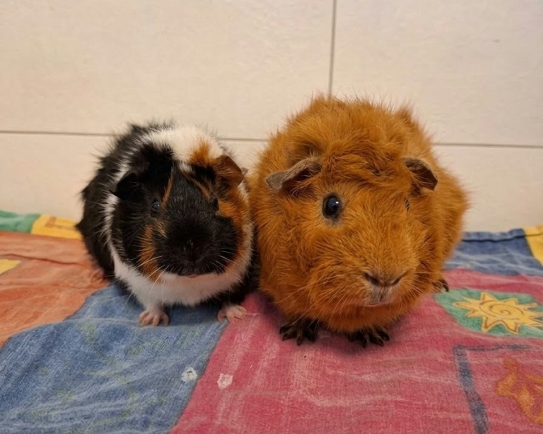 Milo + Yuna (2) Milo & Yuna