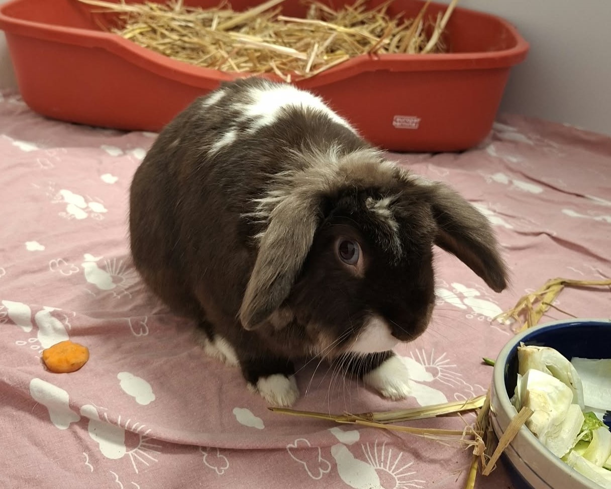 Oskar