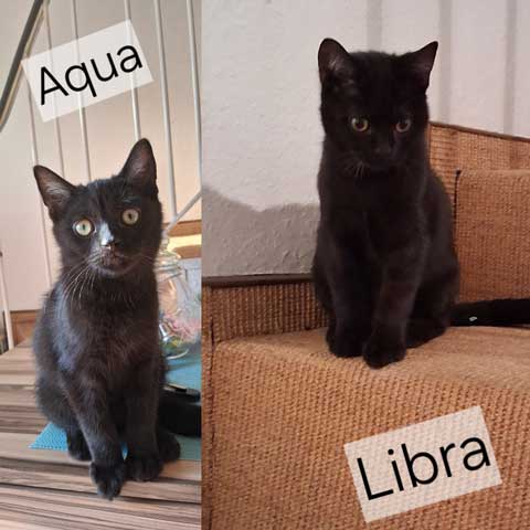 aqua-libra Aqua und Libra