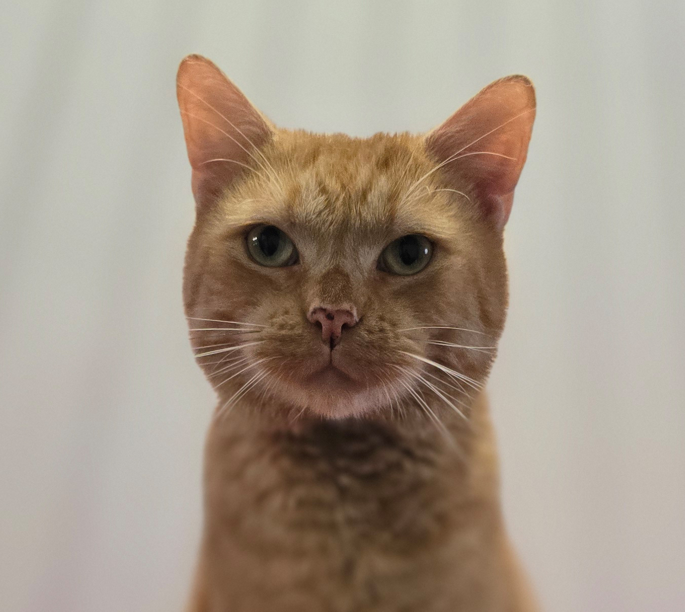 max-titelbild-20261009