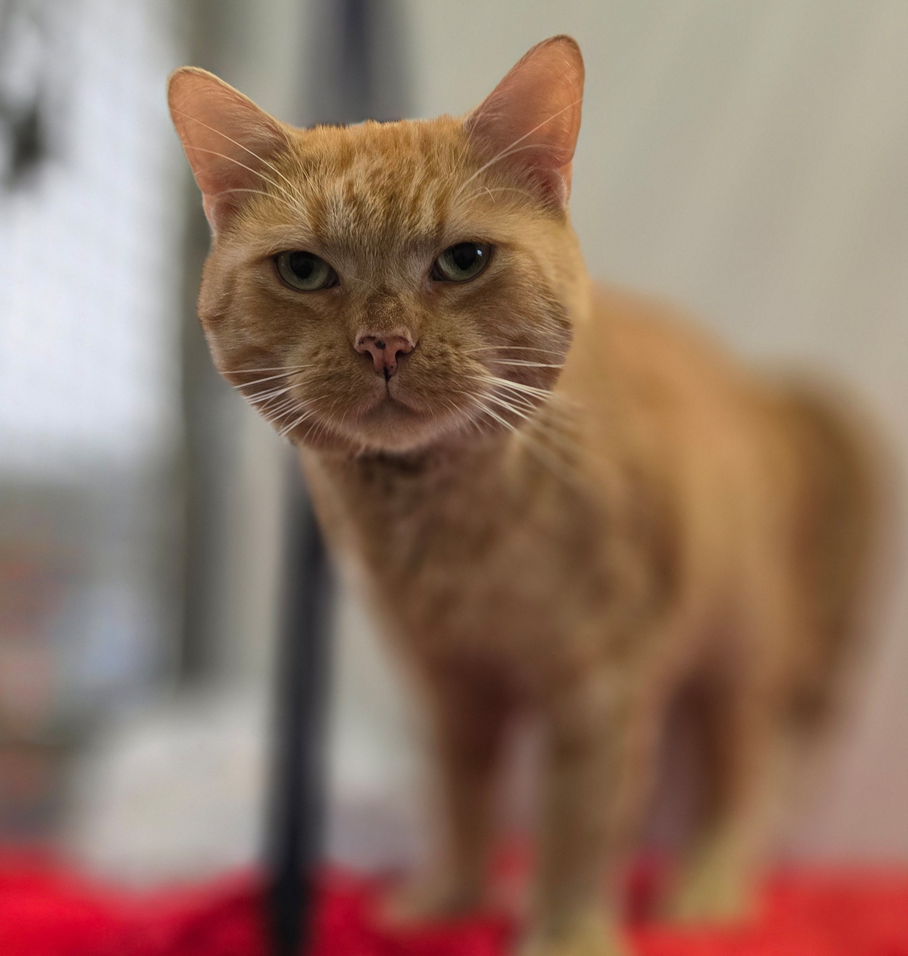 max4-profilbild-20261009
