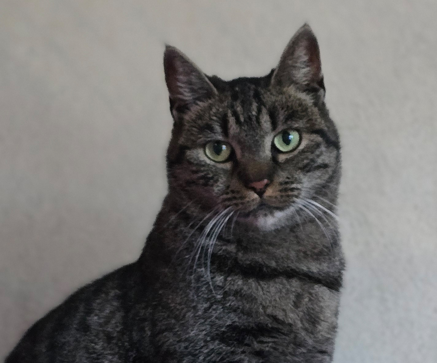 mona2-profilbild-20261009